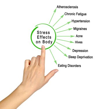 Vücut üzerindeki stres etkileri