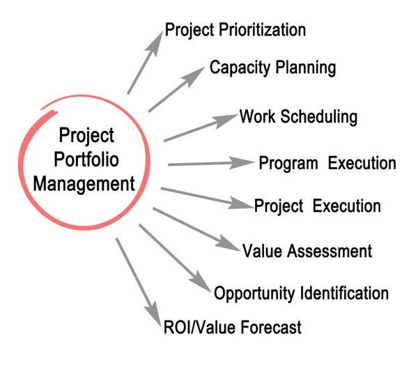 Components of Project Portfolio Management