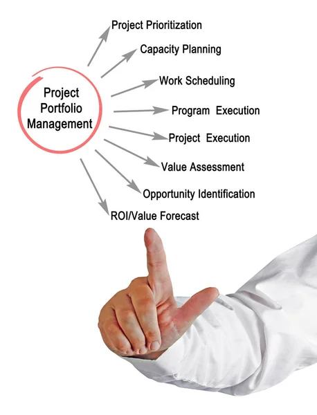 man presenting Project Portfolio Management