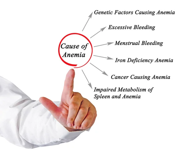 Man presenting Causes of Anemia — Stock Photo, Image