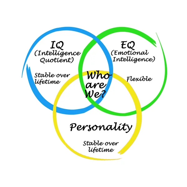 Quiénes Somos Depende Personalidad — Foto de Stock