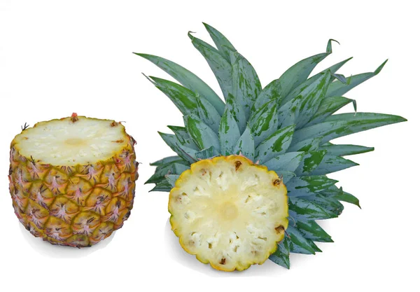Secties van ananas geïsoleerd op witte achtergrond — Stockfoto