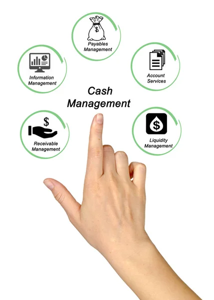 Components of Cash Management