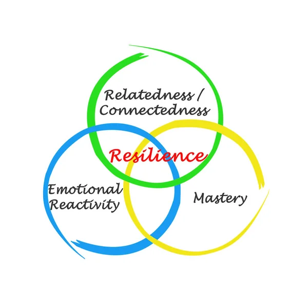 Tres Componentes Resiliencia — Foto de Stock