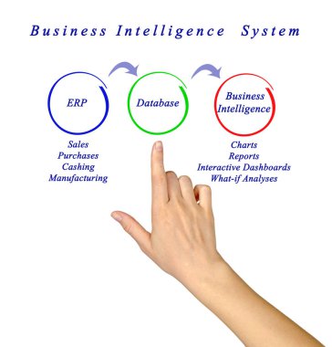 İş zeka sistemi sunan kadın