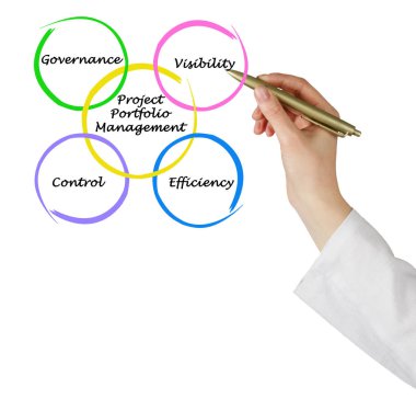 Proje Portföy Yönetimi sunan adam