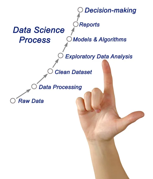 Kvinna Som Presenterar Data Science Process — Stockfoto