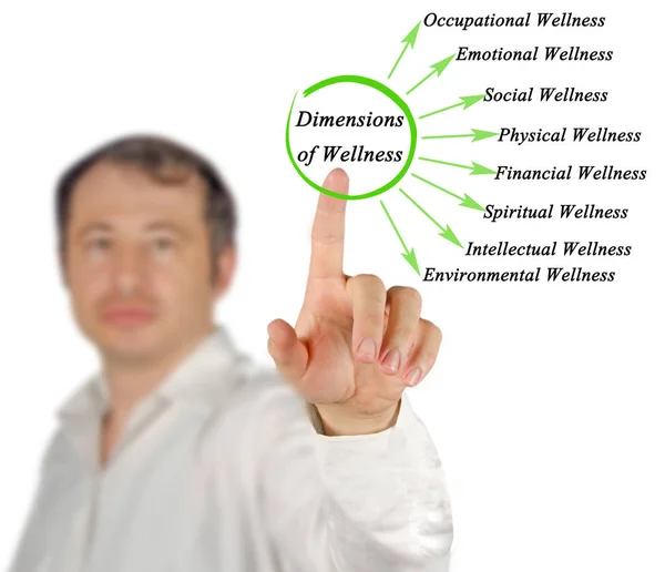 Man Presenting Dimensions Wellness — Stock Photo, Image