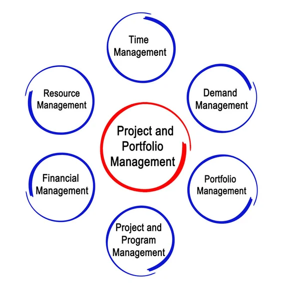 Project and Portfolio Management