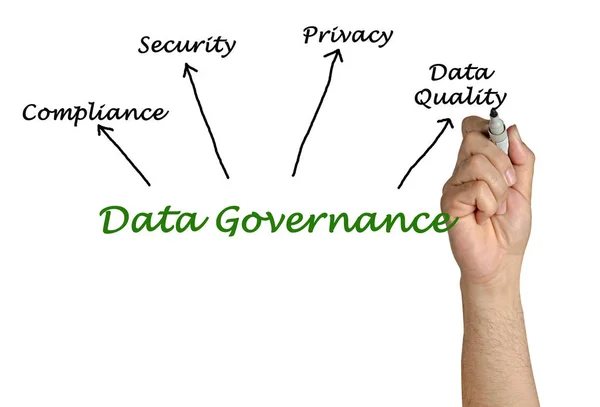 Uomo che presenta gli obiettivi di governance dei dati — Foto Stock