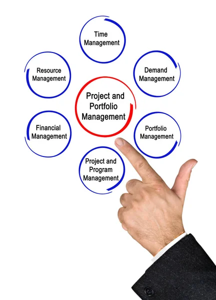 Projekt- und Portfoliomanagement — Stockfoto