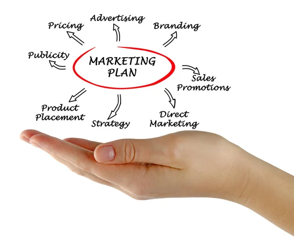 Presentation of marketing strategy — Stock Photo, Image