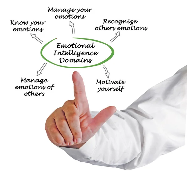 Man presenting Emotional Intelligence Domains — Stock Photo, Image