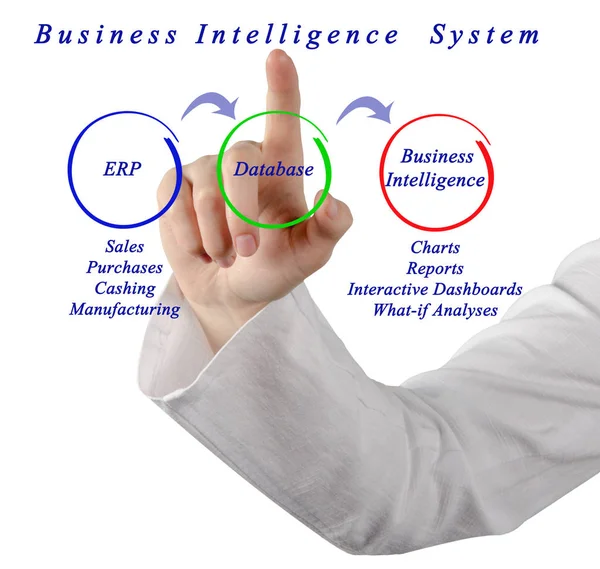 Frau stellt Business Intelligence System vor — Stockfoto