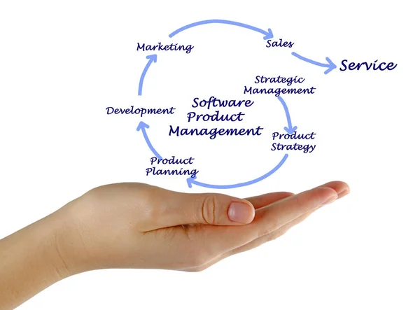 Kvinnan presenterar Software Product Management — Stockfoto