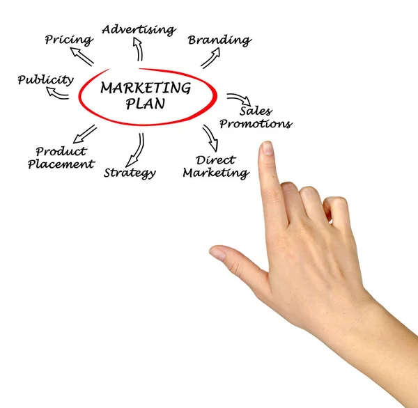 Presentation of marketing strategy — Stock Photo, Image