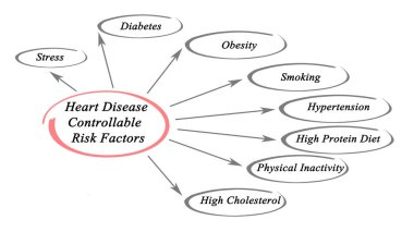 Kalp hastalığı kontrol edilebilir Risk faktörleri