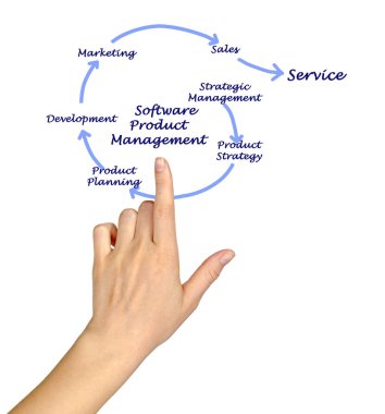 Yazılım ürün yönetimi sunan kadın