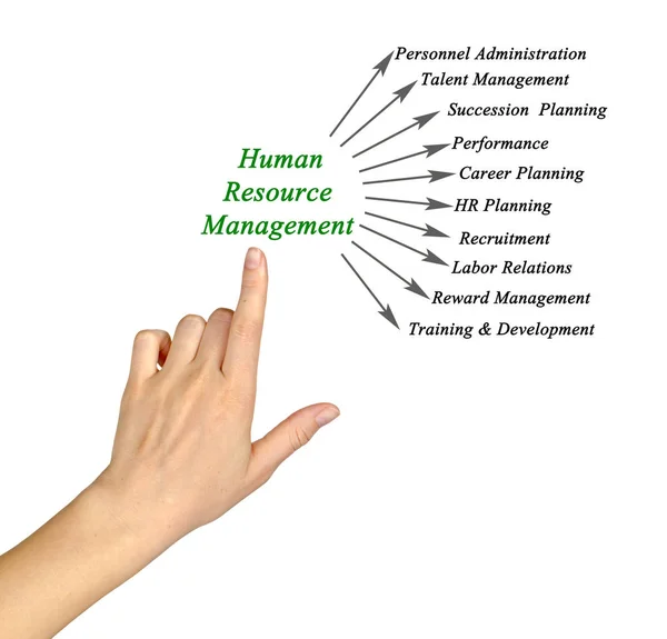 Vrouw presentatie van Human Resource Management — Stockfoto