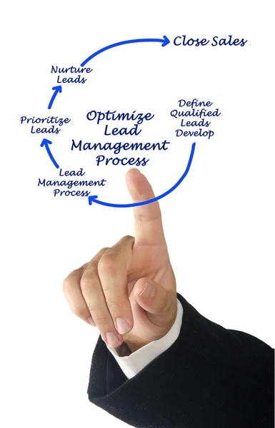 Optimize Lead Management Process