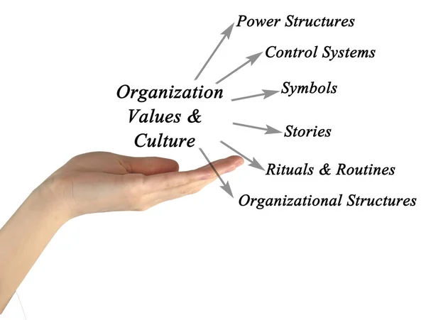 Schema di organizzazione Valori e cultura — Foto Stock