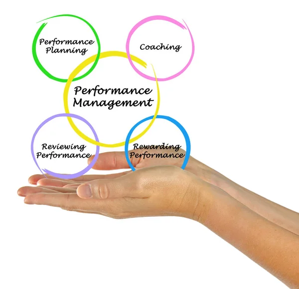 Diagrama de gestión del rendimiento — Foto de Stock