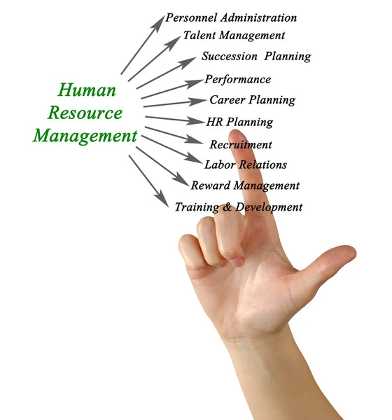 Woman presenting Human Resource Management