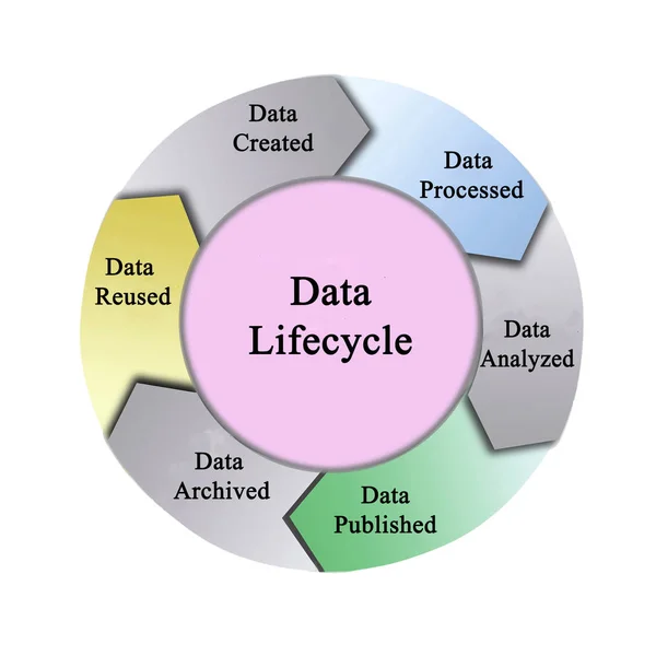 Ciclo de vida dos dados: da criação à reutilização — Fotografia de Stock