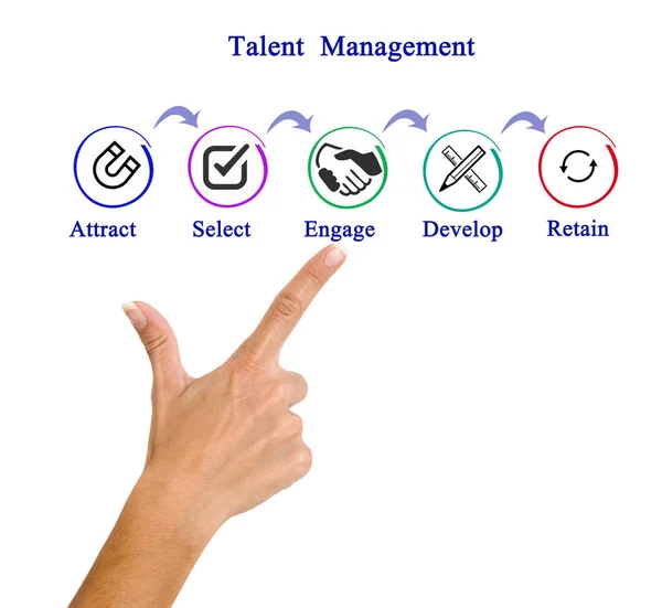 Woman presenting Talent  Management Process — Stock Photo, Image