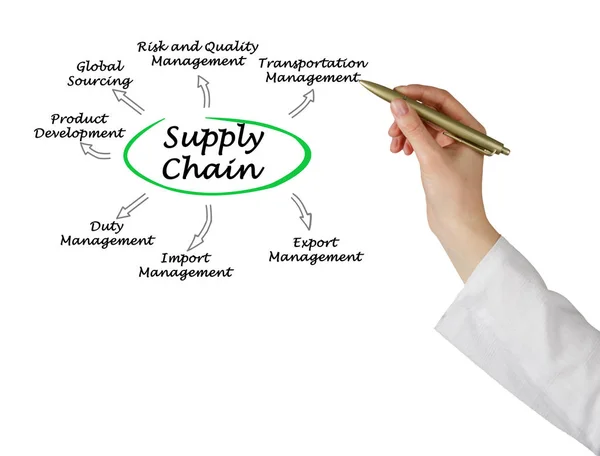 Vrouw presentatie van Supply Chain Management — Stockfoto