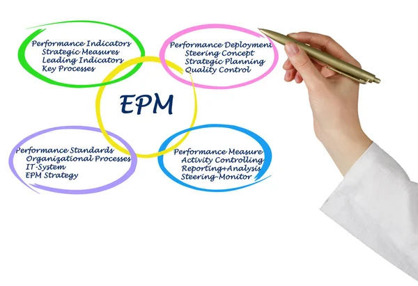 Woman presenting Diagram of EPM — Stock Photo, Image