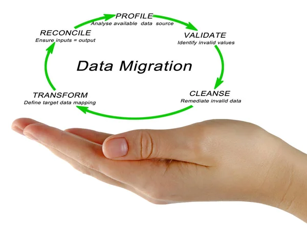 woman presenting data migration process