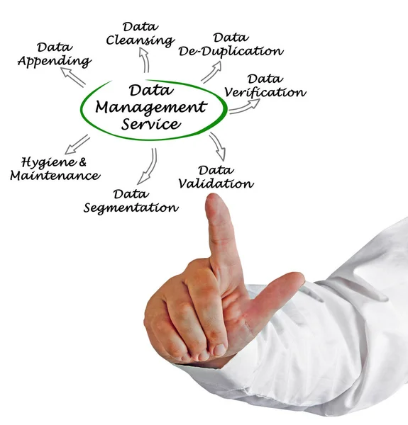 Man presenting Data Management Service — Stock Photo, Image