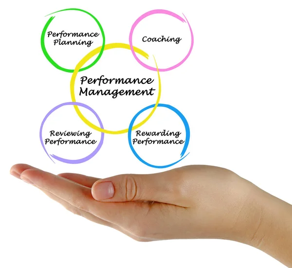 Diagram van Performancemanagement — Stockfoto