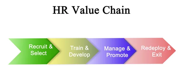 Komponenten der HR-Wertschöpfungskette — Stockfoto
