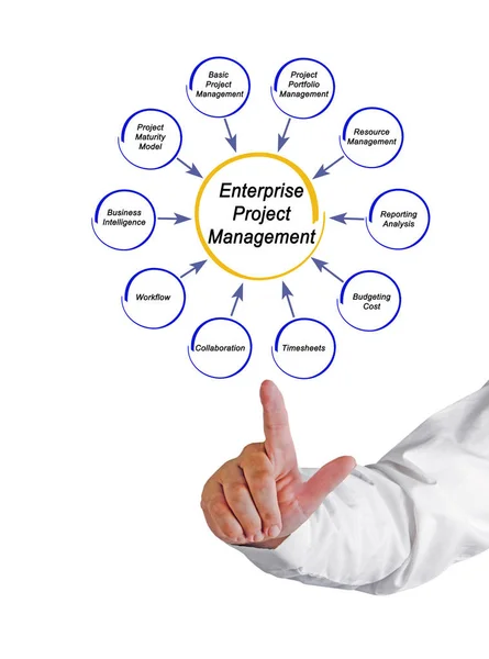 Components of Enterprise Project Management — Stock Photo, Image