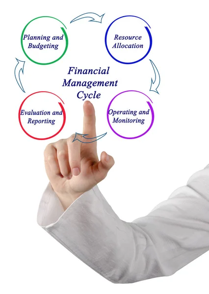 Woman presenting Financial Management  Cycle — Stock Photo, Image