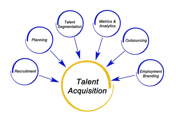 Components of Talent Acquisition strategy — Stock Photo, Image