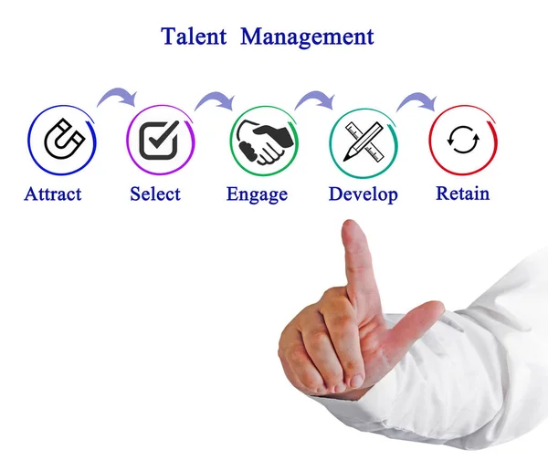 Woman presenting Talent  Management  Process — Stock Photo, Image