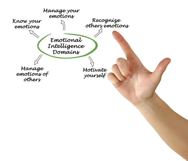 Woman presenting Emotional Intelligence Domains — Stock Photo, Image