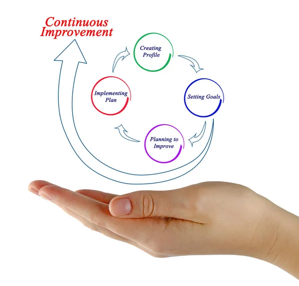 Components of continuous improvement process