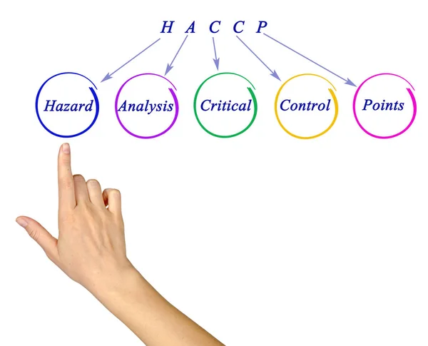 Diagrama dos requisitos regulamentares do HACCP — Fotografia de Stock