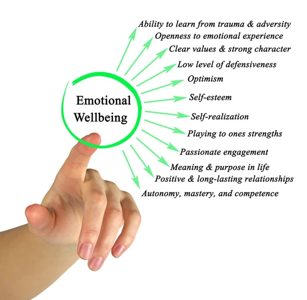 Components of Emotional Wellbeing — Stock Photo, Image