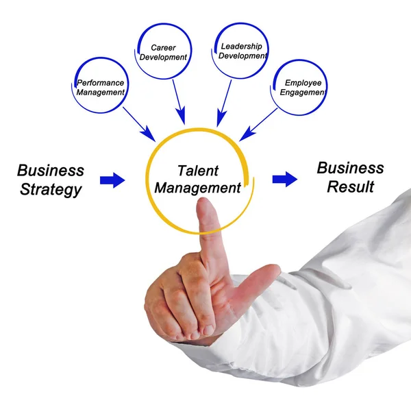 Talent Management folyamat összetevői — Stock Fotó