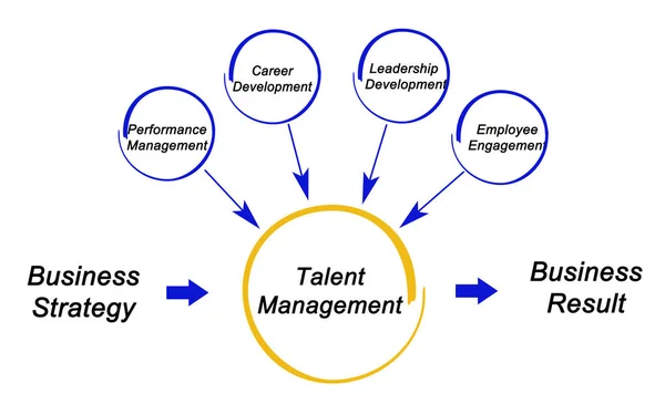 Composantes du processus de gestion des talents — Photo