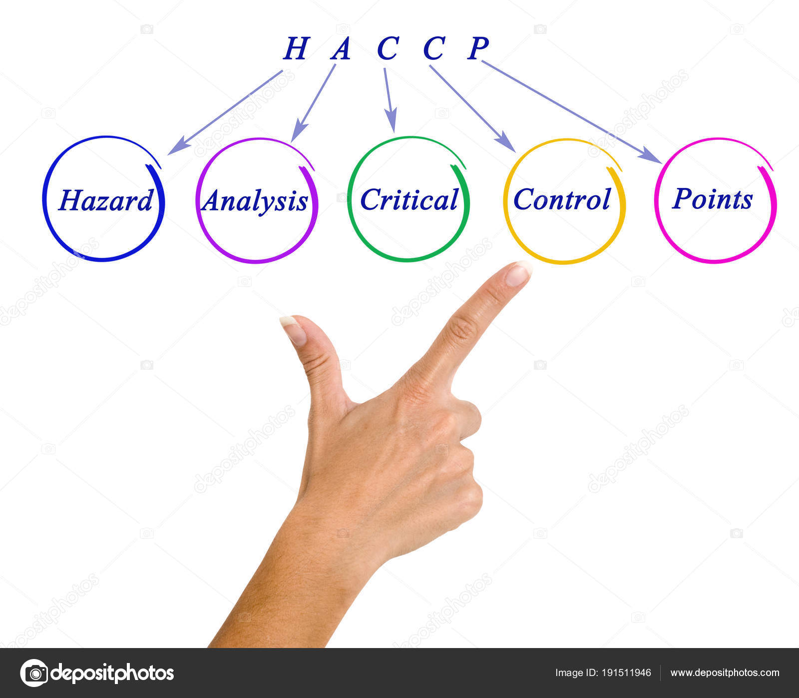 HACCP DA SCARICA