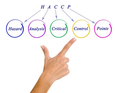 HACCP Düzenleme Gereksinimleri Diyagramı