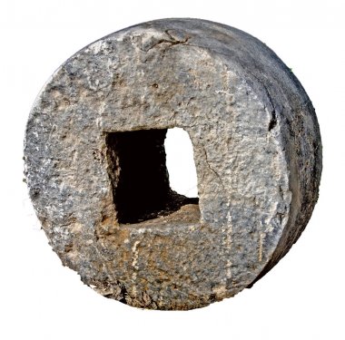 Taş zeytin basın yakın çekim