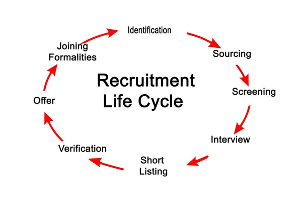 Componentes do Ciclo de Vida do Recrutamento — Fotografia de Stock