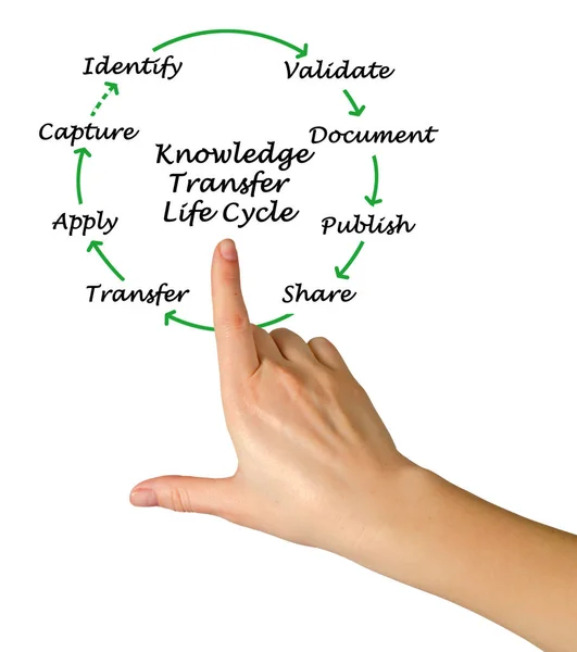 Ciclo de vida de transferencia de conocimiento —  Fotos de Stock